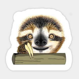 Cute two-toed sloths with smile face classic Sticker